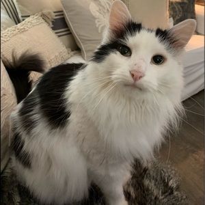 Meet your Posher, Angie